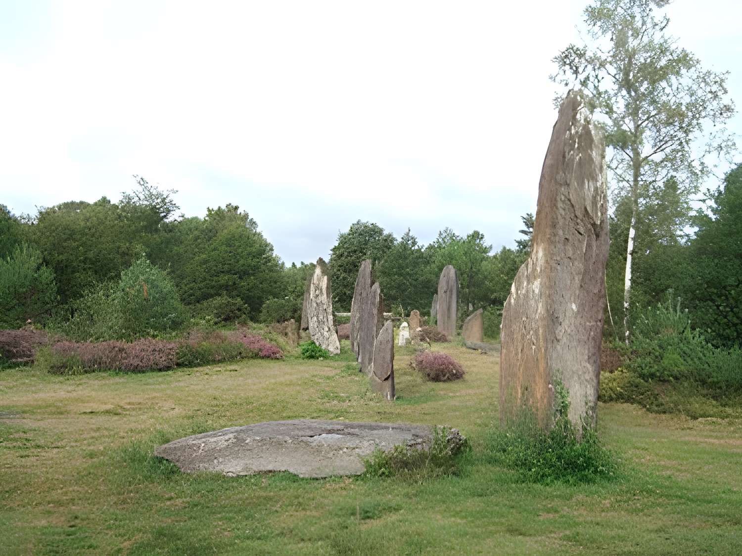 Domaine mégalithique des Pierres droites de Monteneuf 