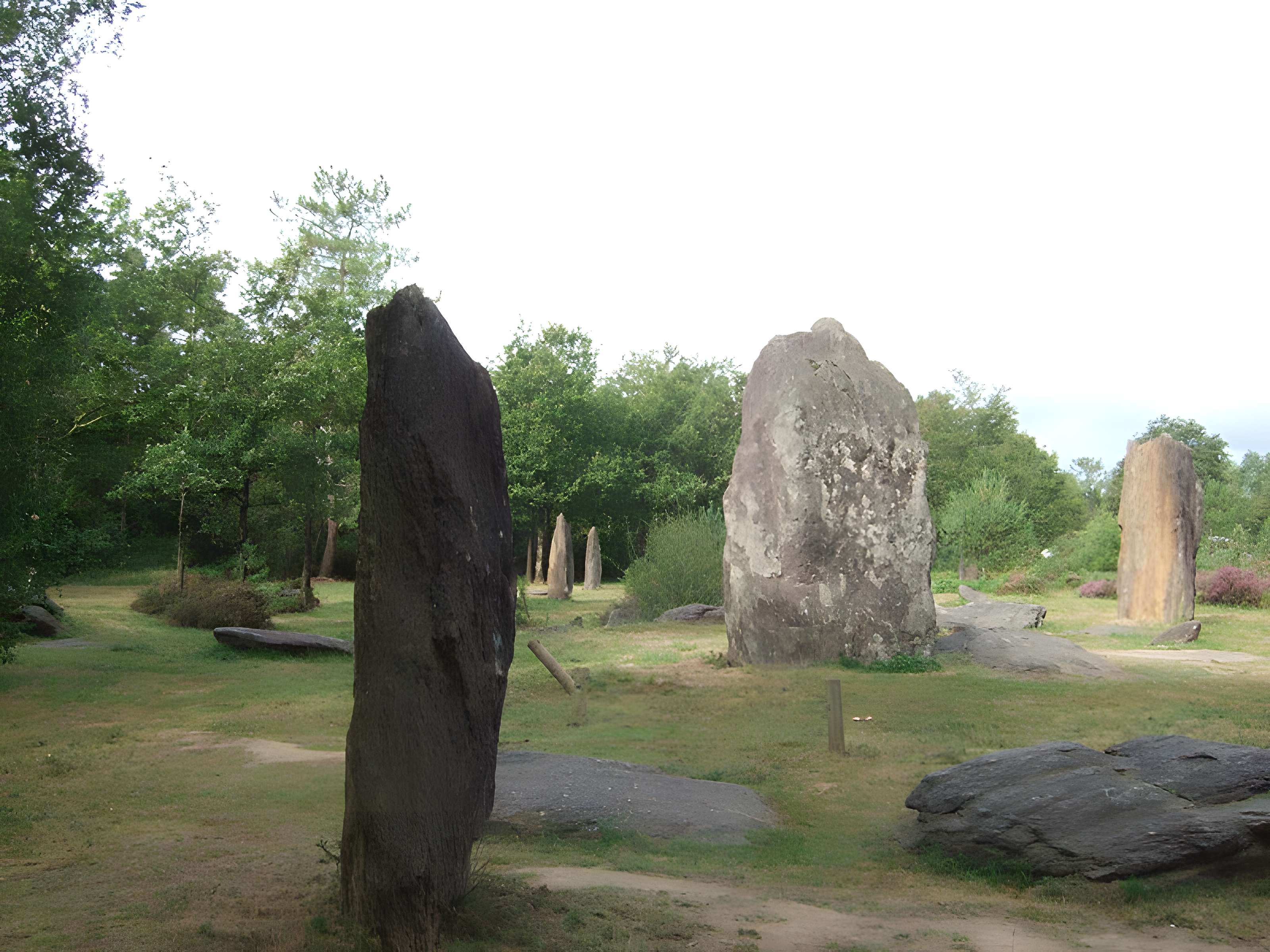 Domaine mégalithique des Pierres droites de Monteneuf