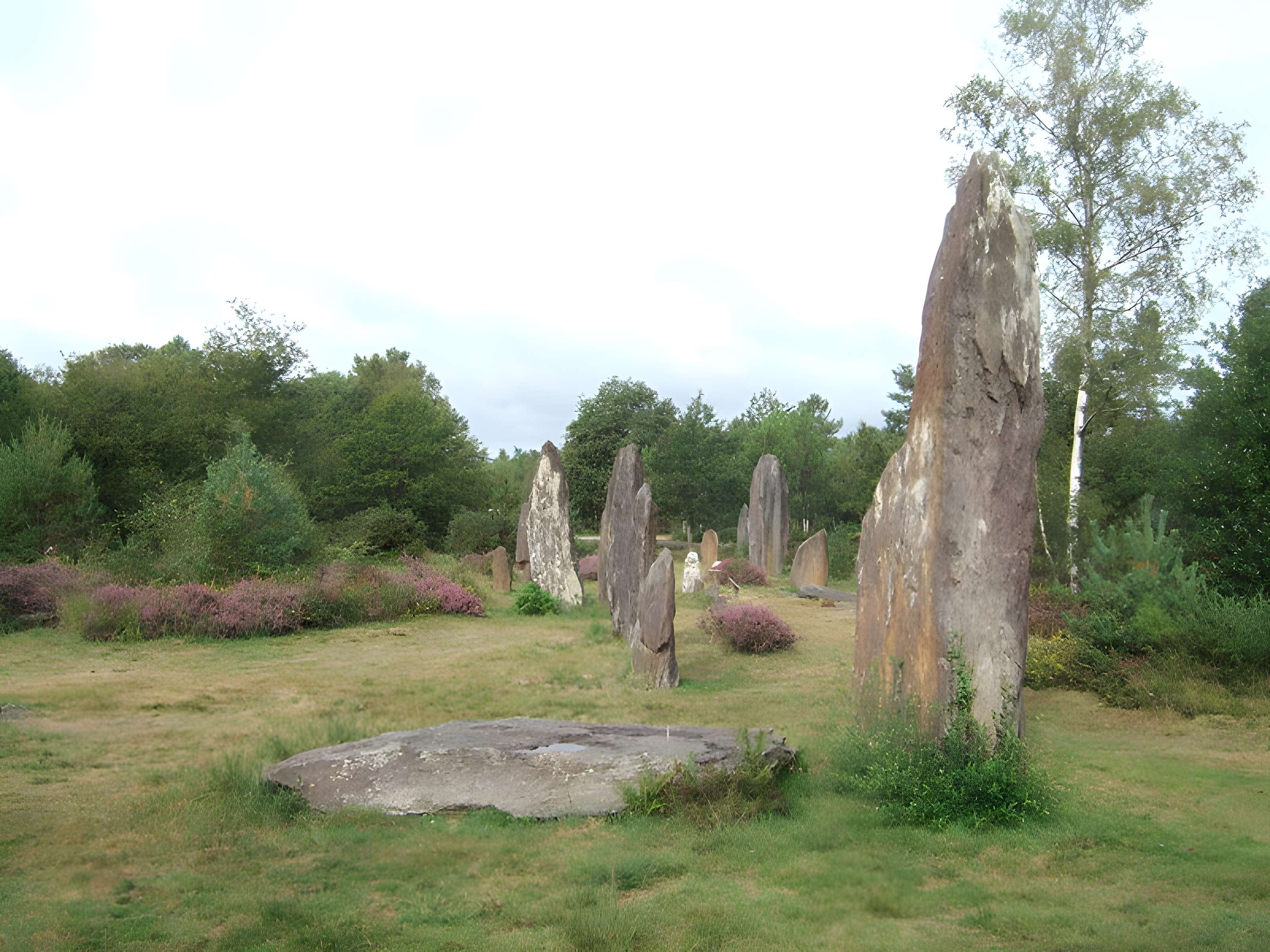 Domaine mégalithique des Pierres droites de Monteneuf