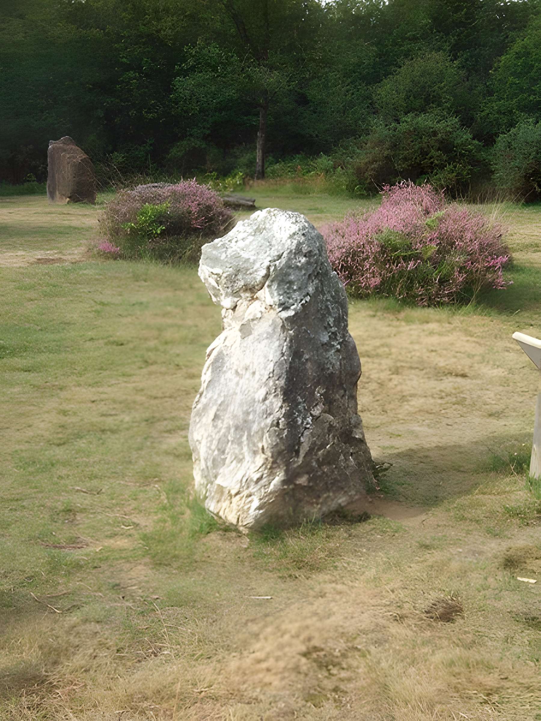 Domaine mégalithique des Pierres droites de Monteneuf