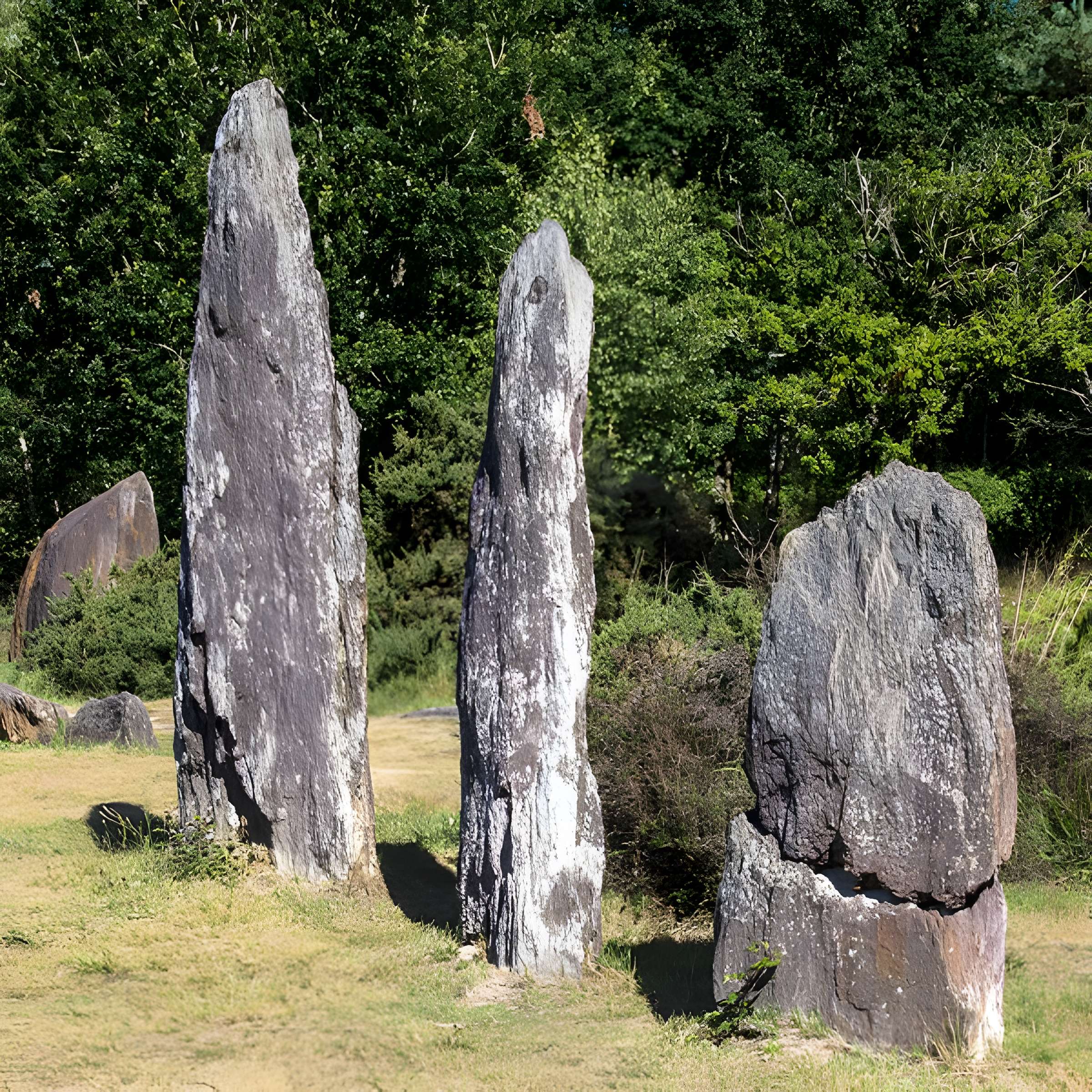Domaine mégalithique des Pierres droites de Monteneuf