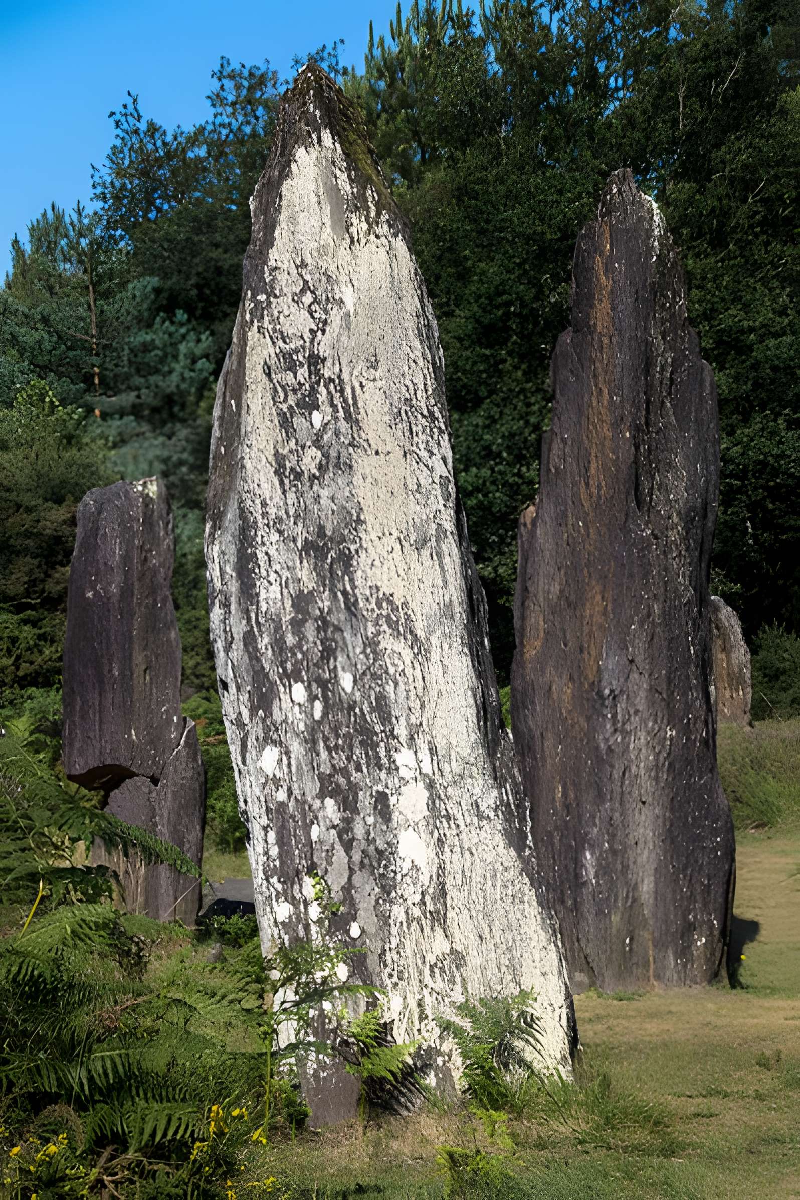 Domaine mégalithique des Pierres droites de Monteneuf