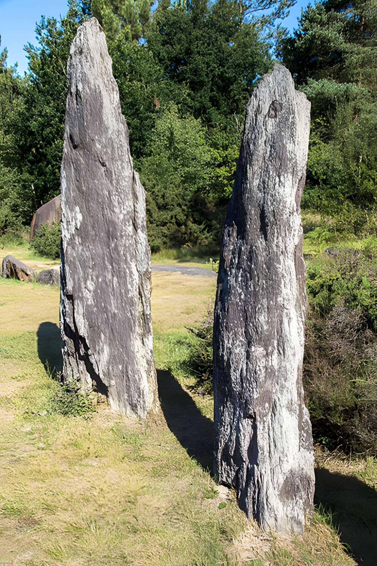 Domaine mégalithique des Pierres droites de Monteneuf