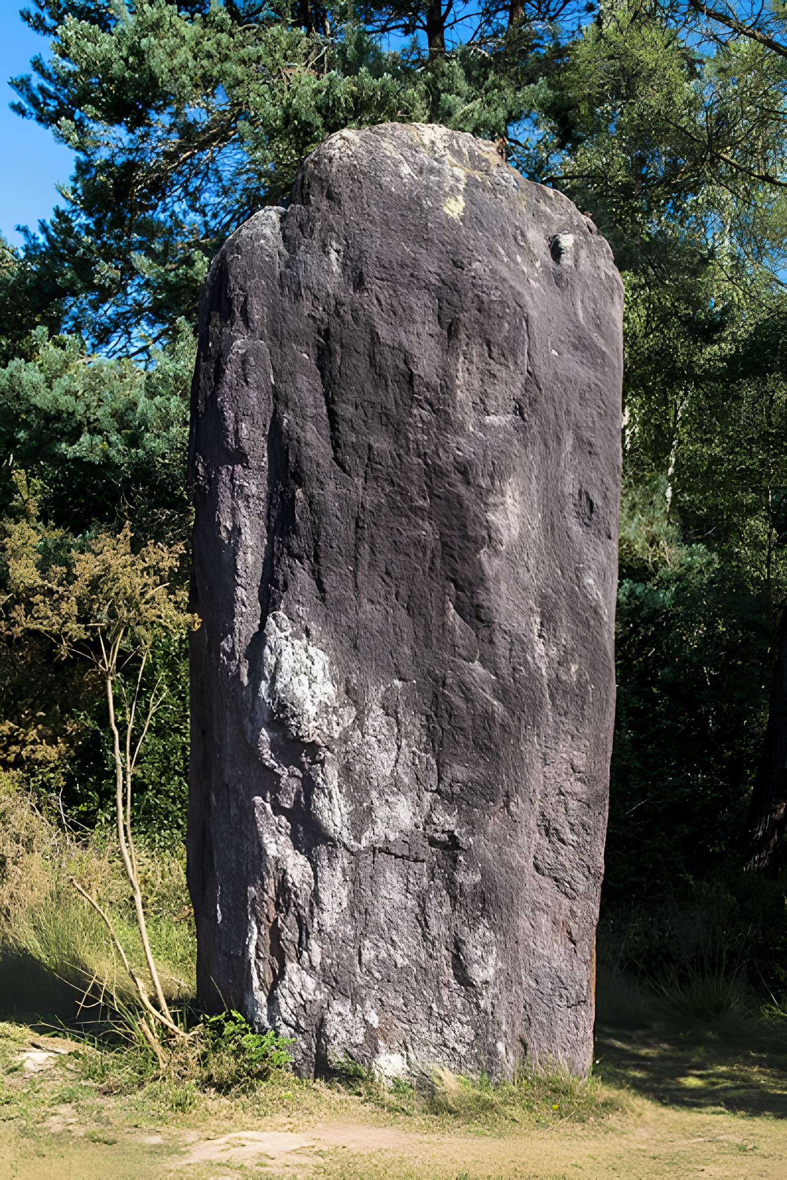 Domaine mégalithique des Pierres droites de Monteneuf