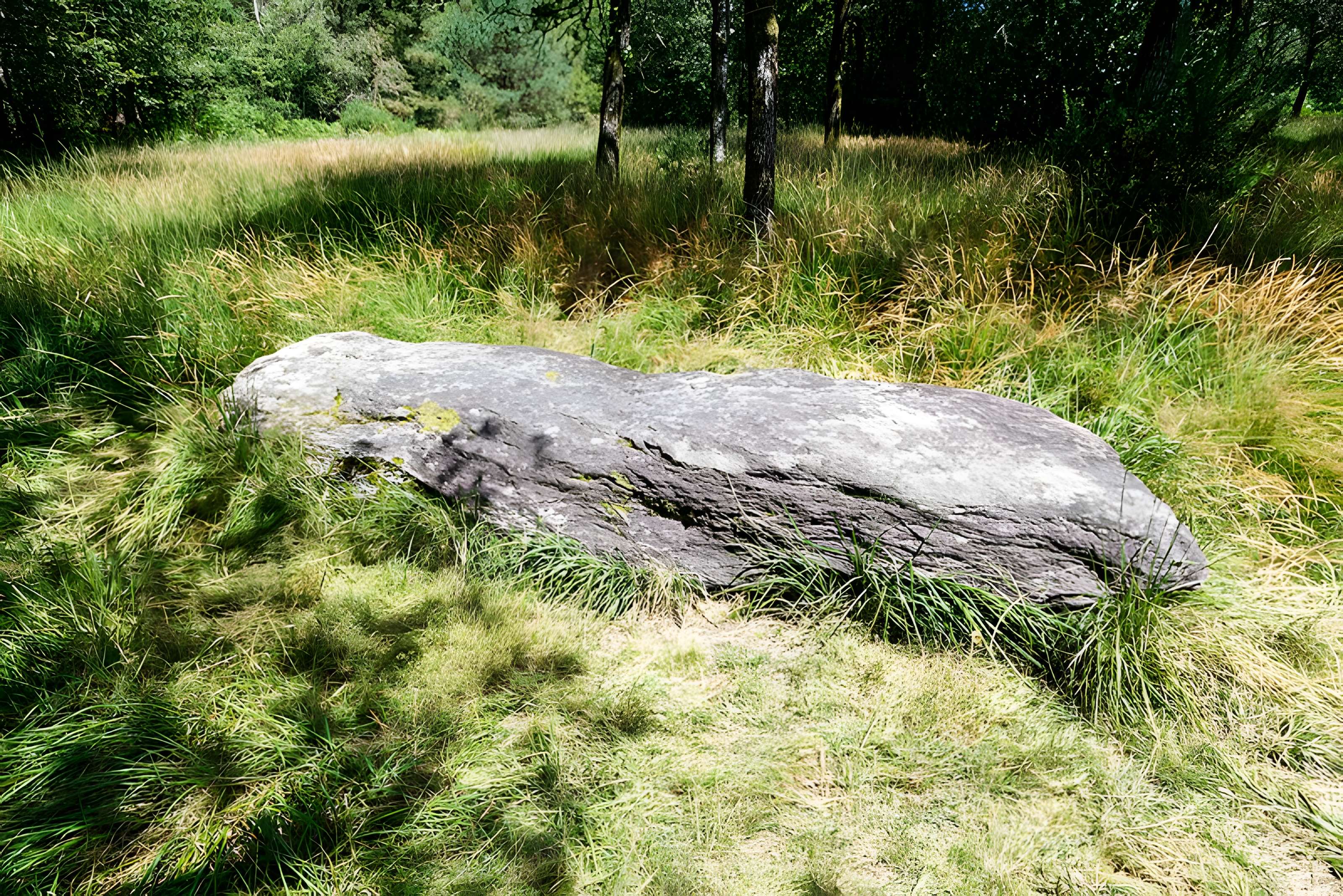 Domaine mégalithique des Pierres droites de Monteneuf