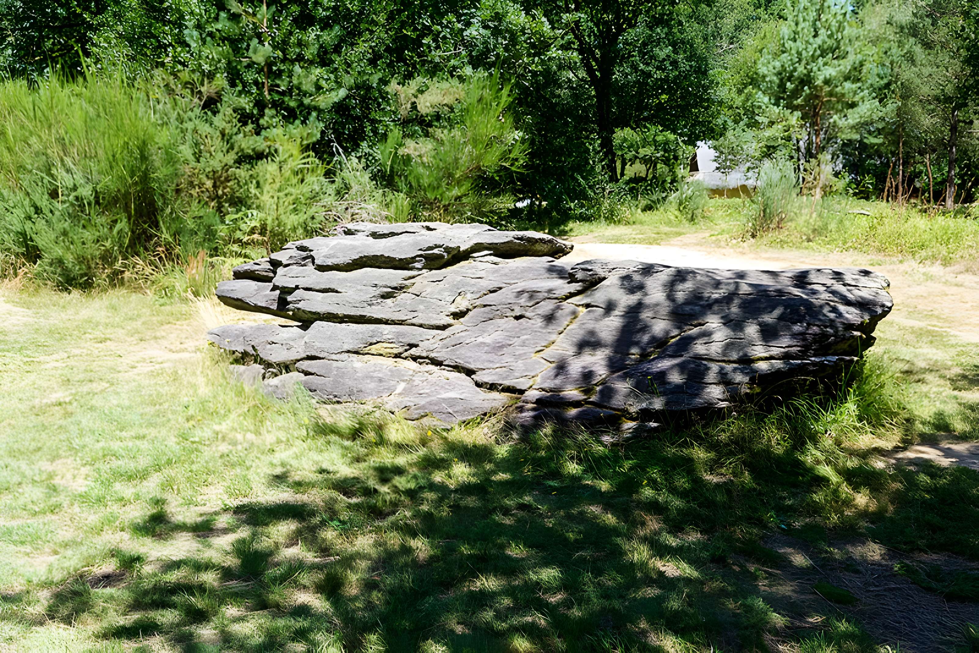 Domaine mégalithique des Pierres droites de Monteneuf