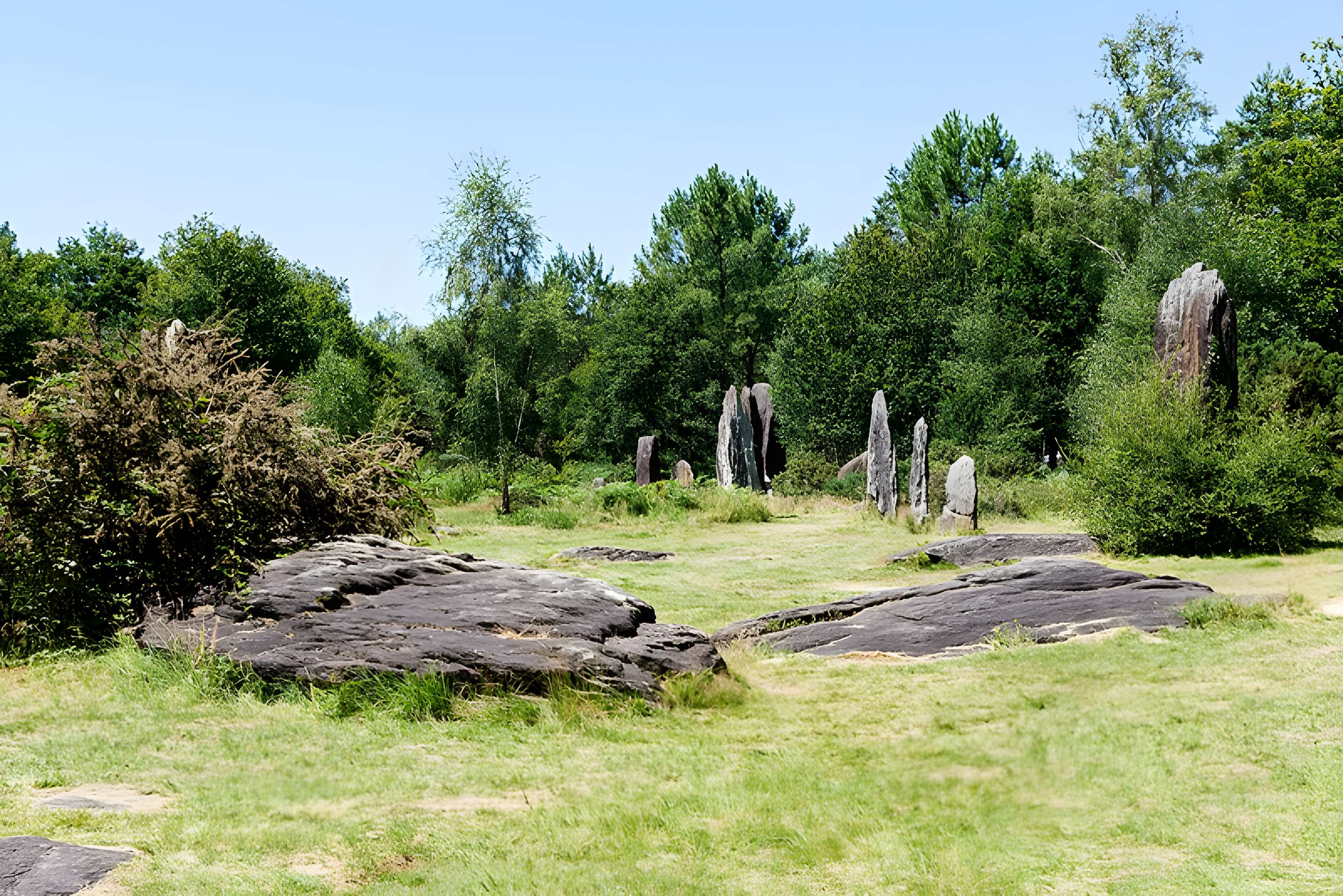Domaine mégalithique des Pierres droites de Monteneuf