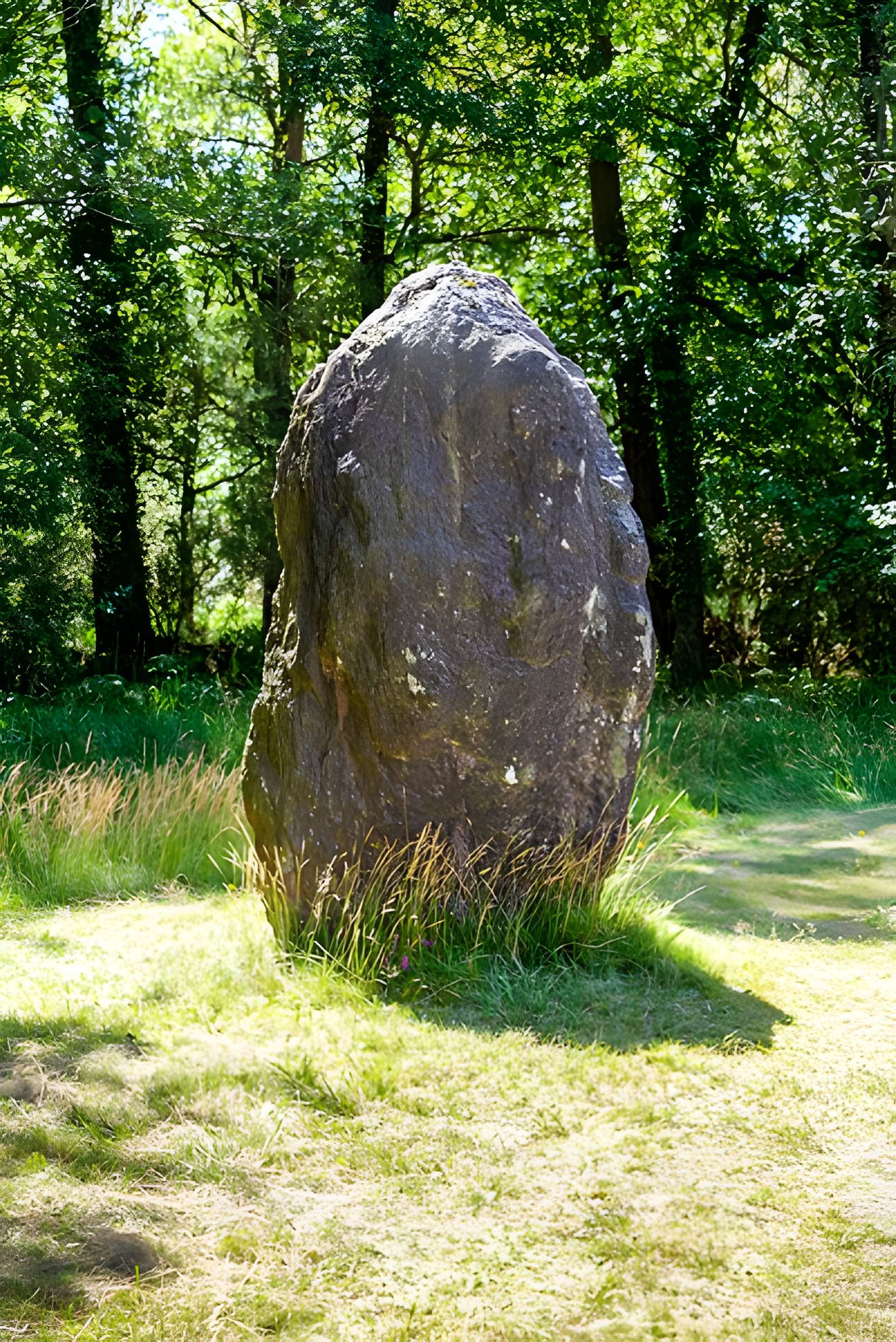 Domaine mégalithique des Pierres droites de Monteneuf