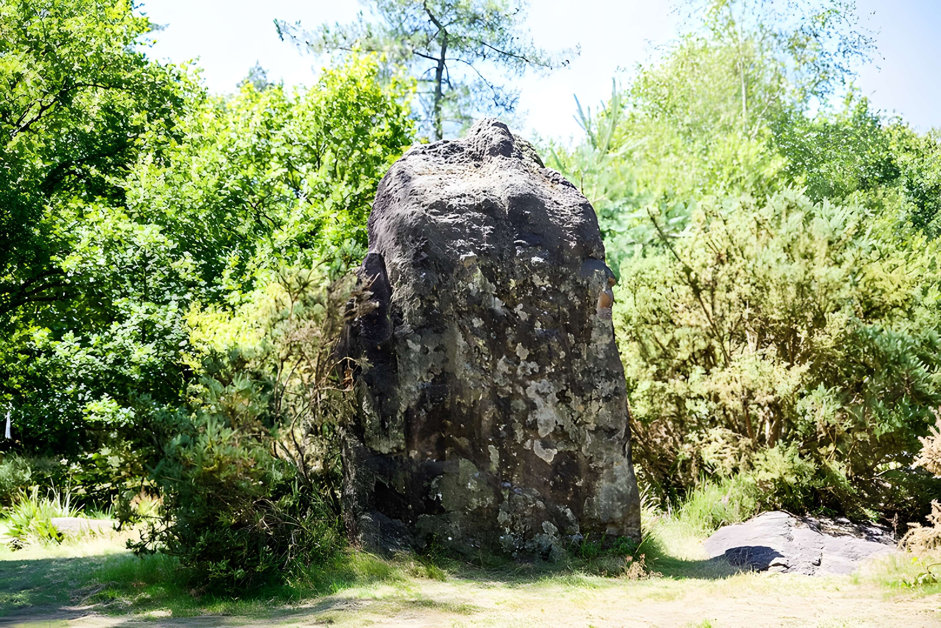 Domaine mégalithique des Pierres droites de Monteneuf