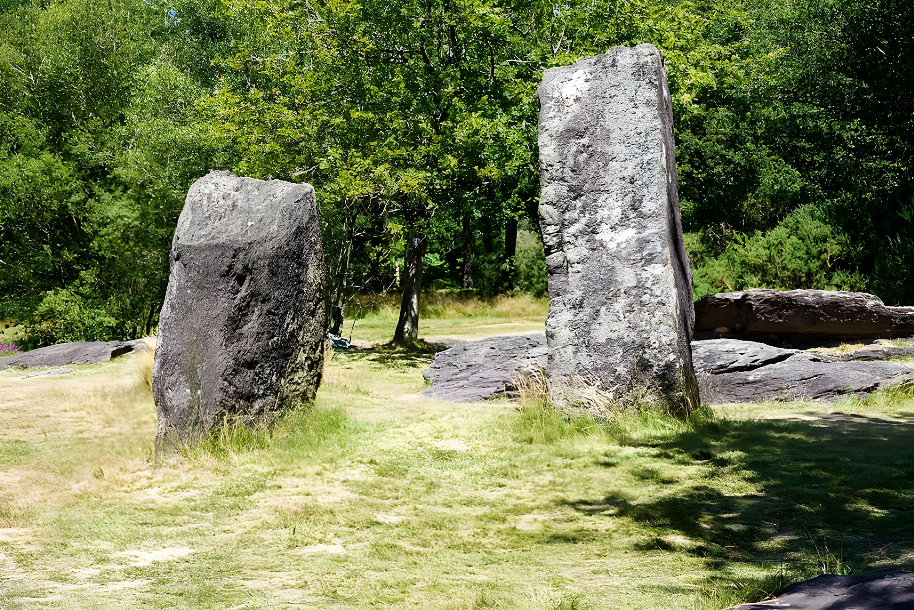 Domaine mégalithique des Pierres droites de Monteneuf