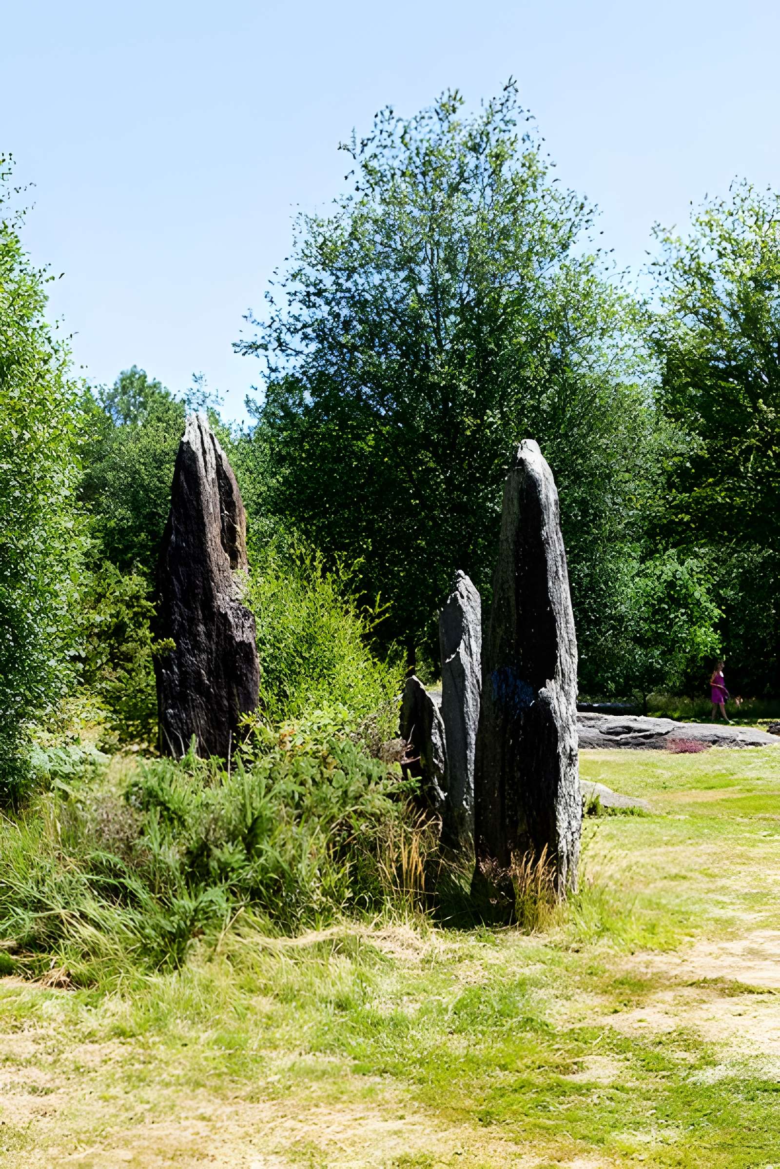 Domaine mégalithique des Pierres droites de Monteneuf