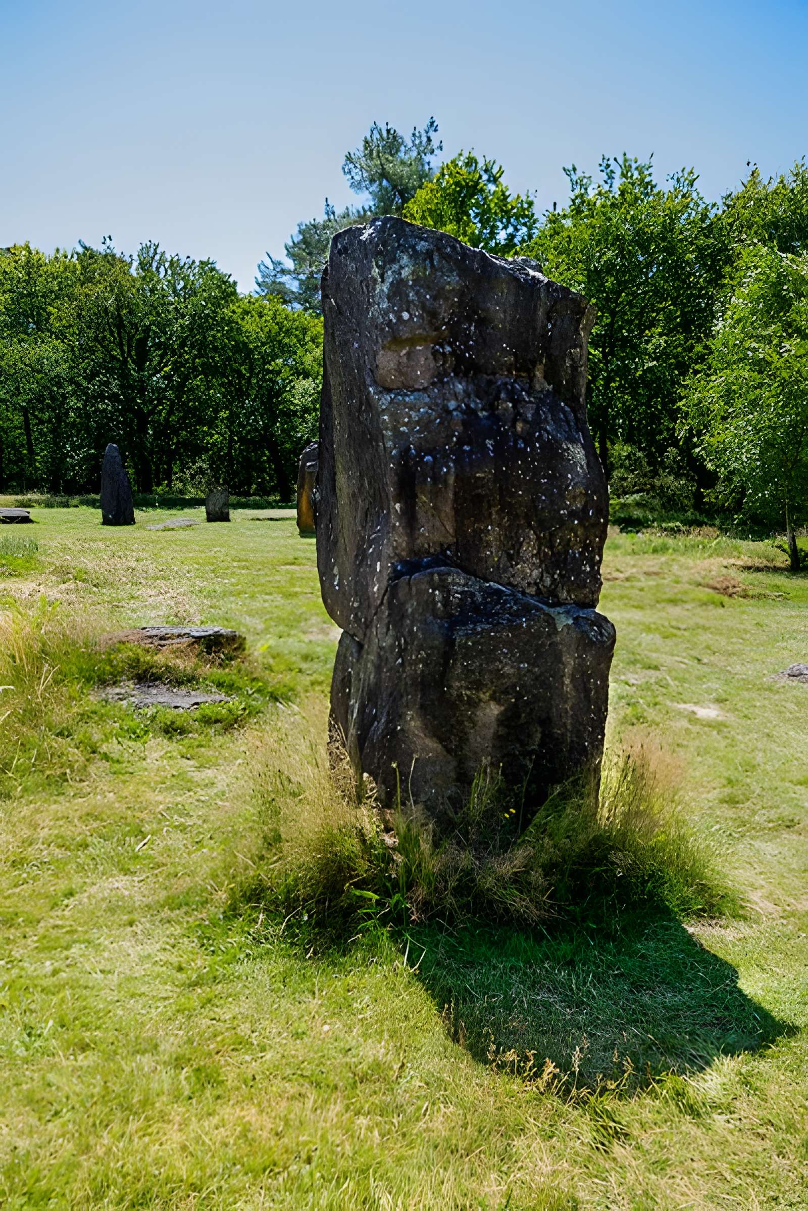 Domaine mégalithique des Pierres droites de Monteneuf