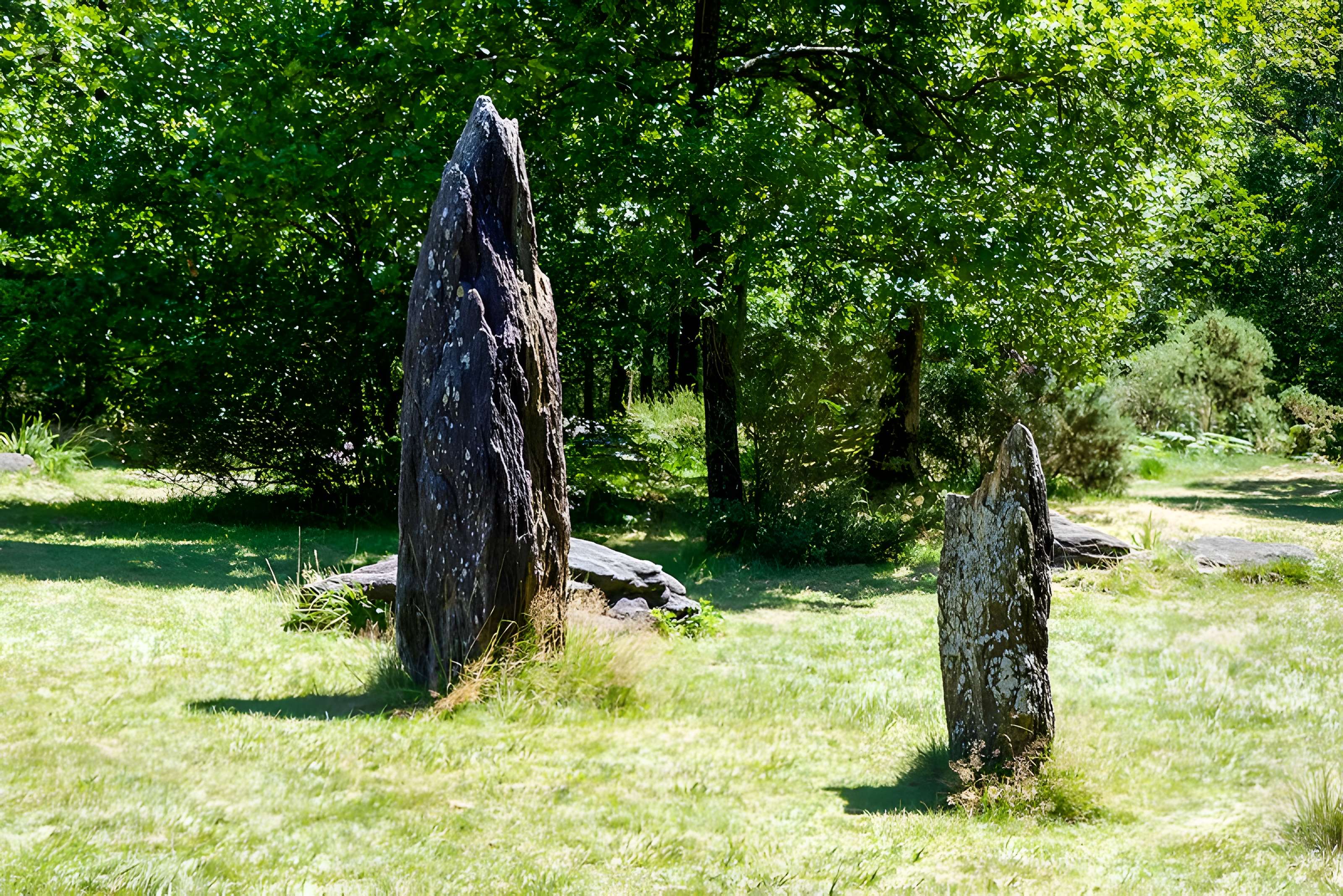 Domaine mégalithique des Pierres droites de Monteneuf