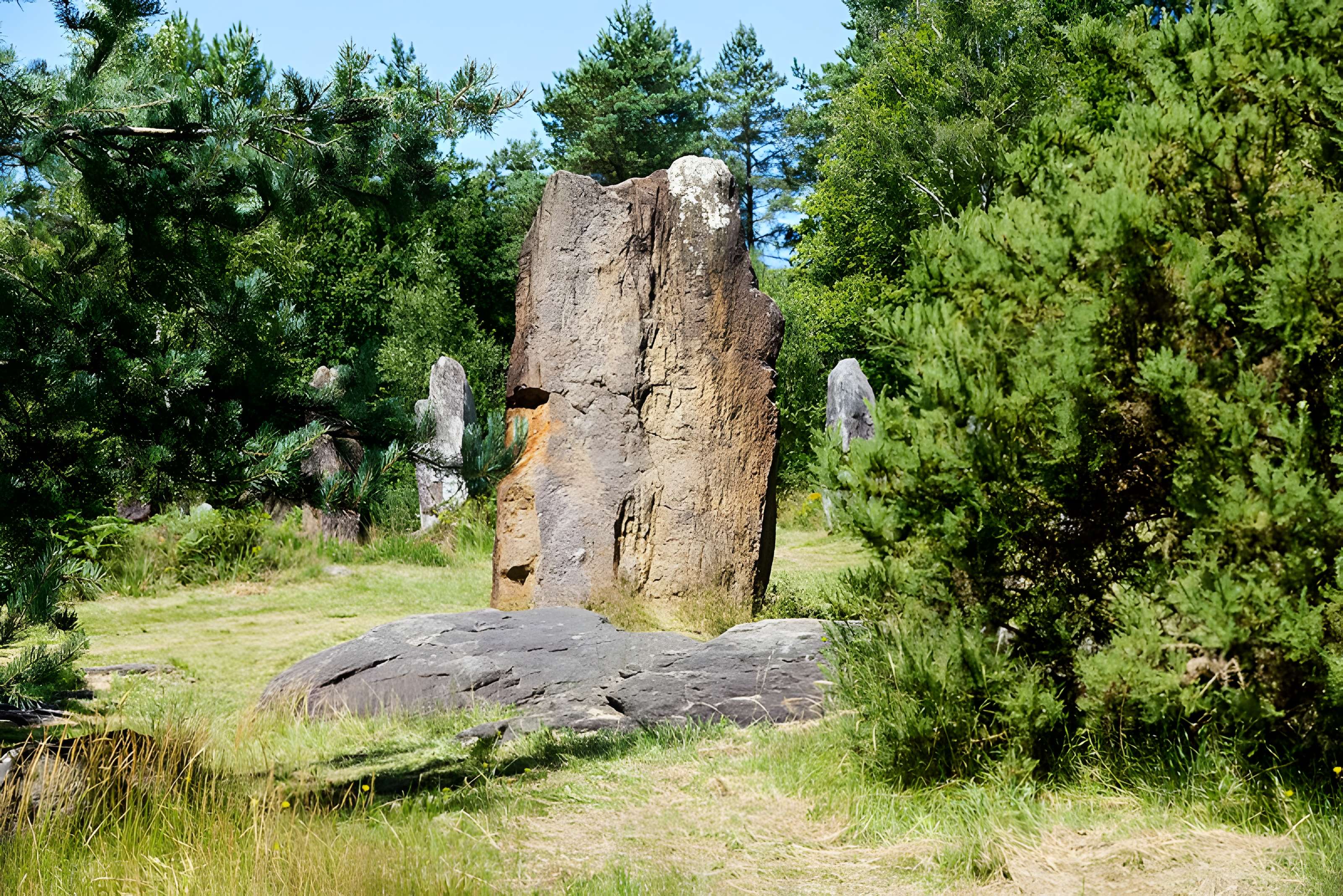 Domaine mégalithique des Pierres droites de Monteneuf