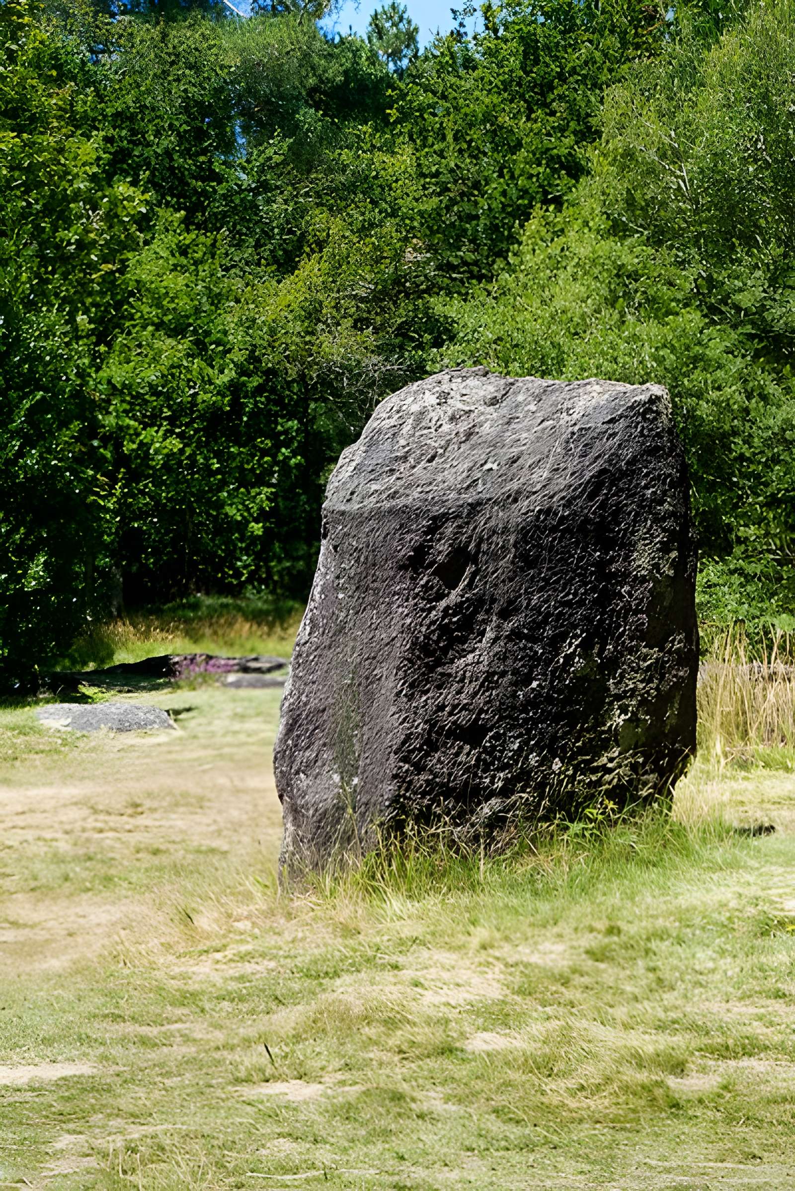 Domaine mégalithique des Pierres droites de Monteneuf