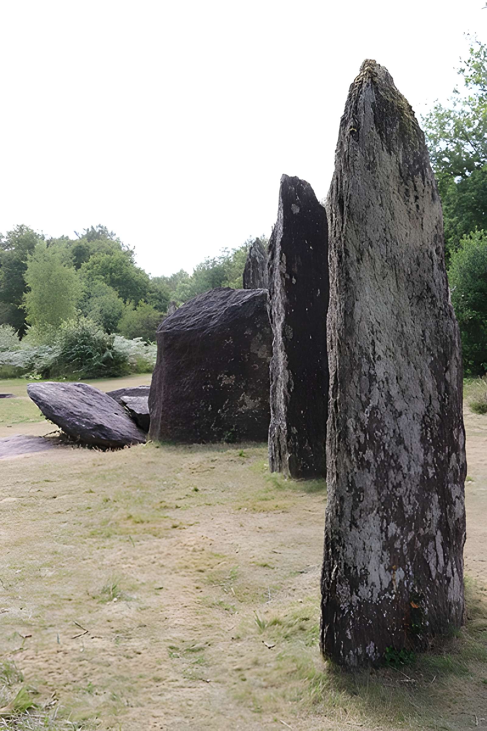 Domaine mégalithique des Pierres droites de Monteneuf