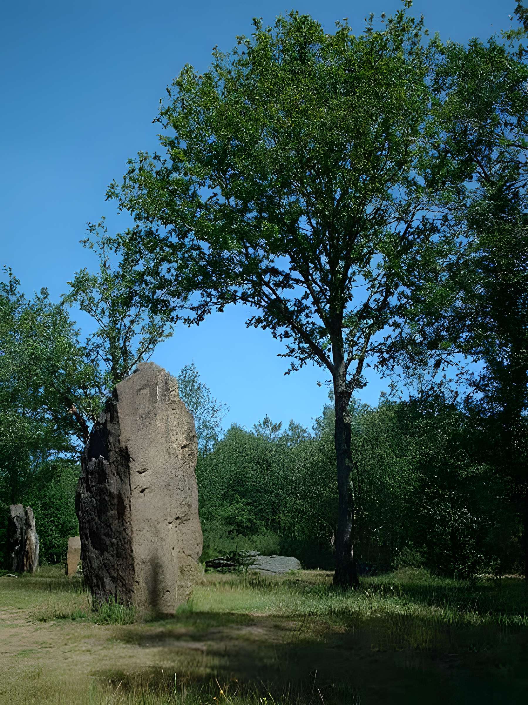 Domaine mégalithique des Pierres droites de Monteneuf