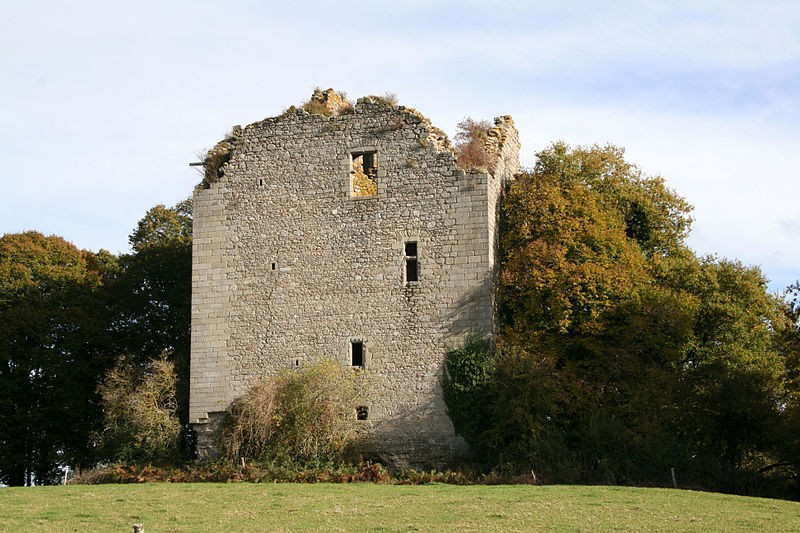 Photo de Donjon de Chamborand
