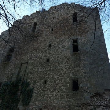 Donjon de Chamborand