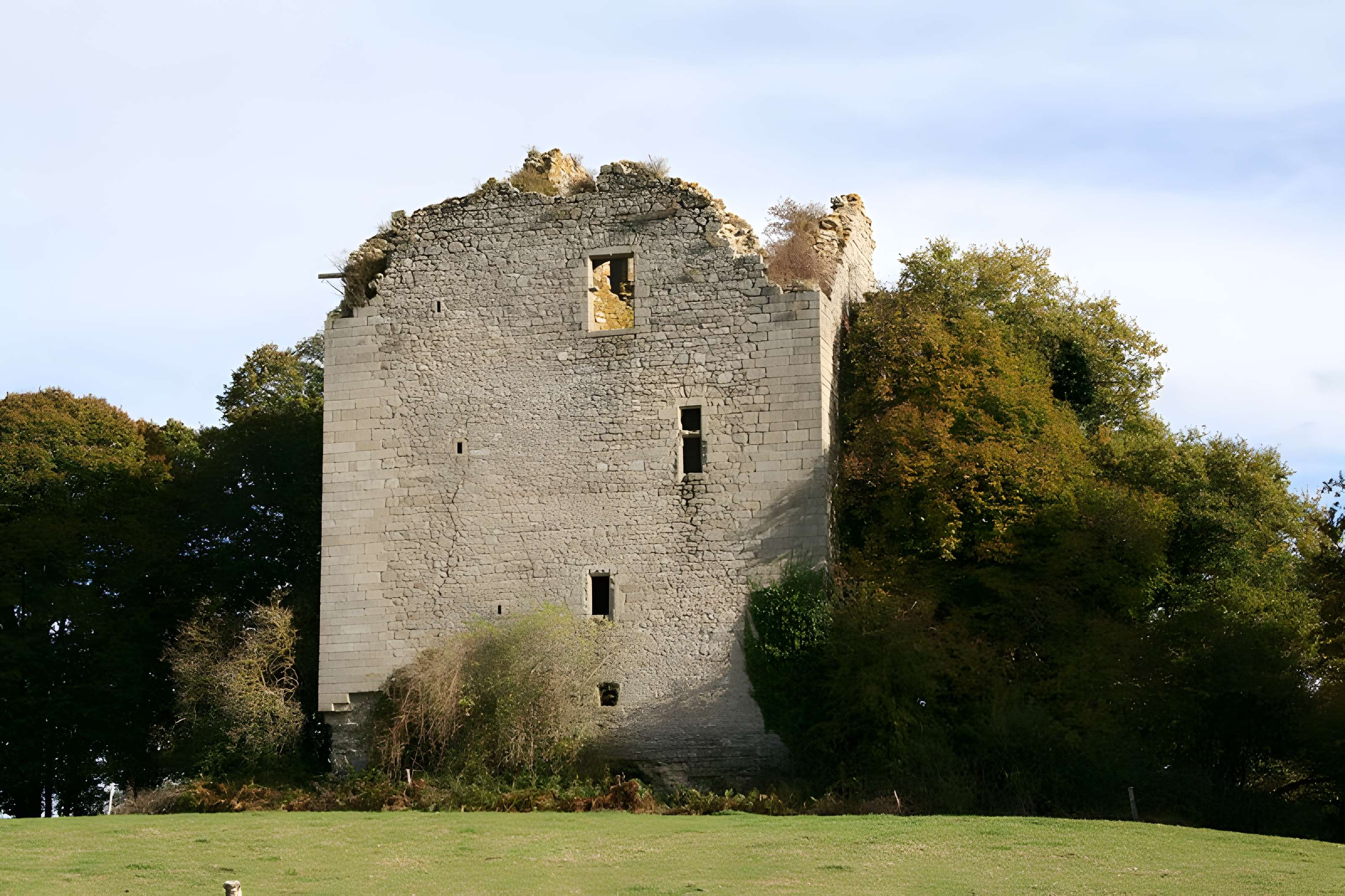 Donjon de Chamborand 