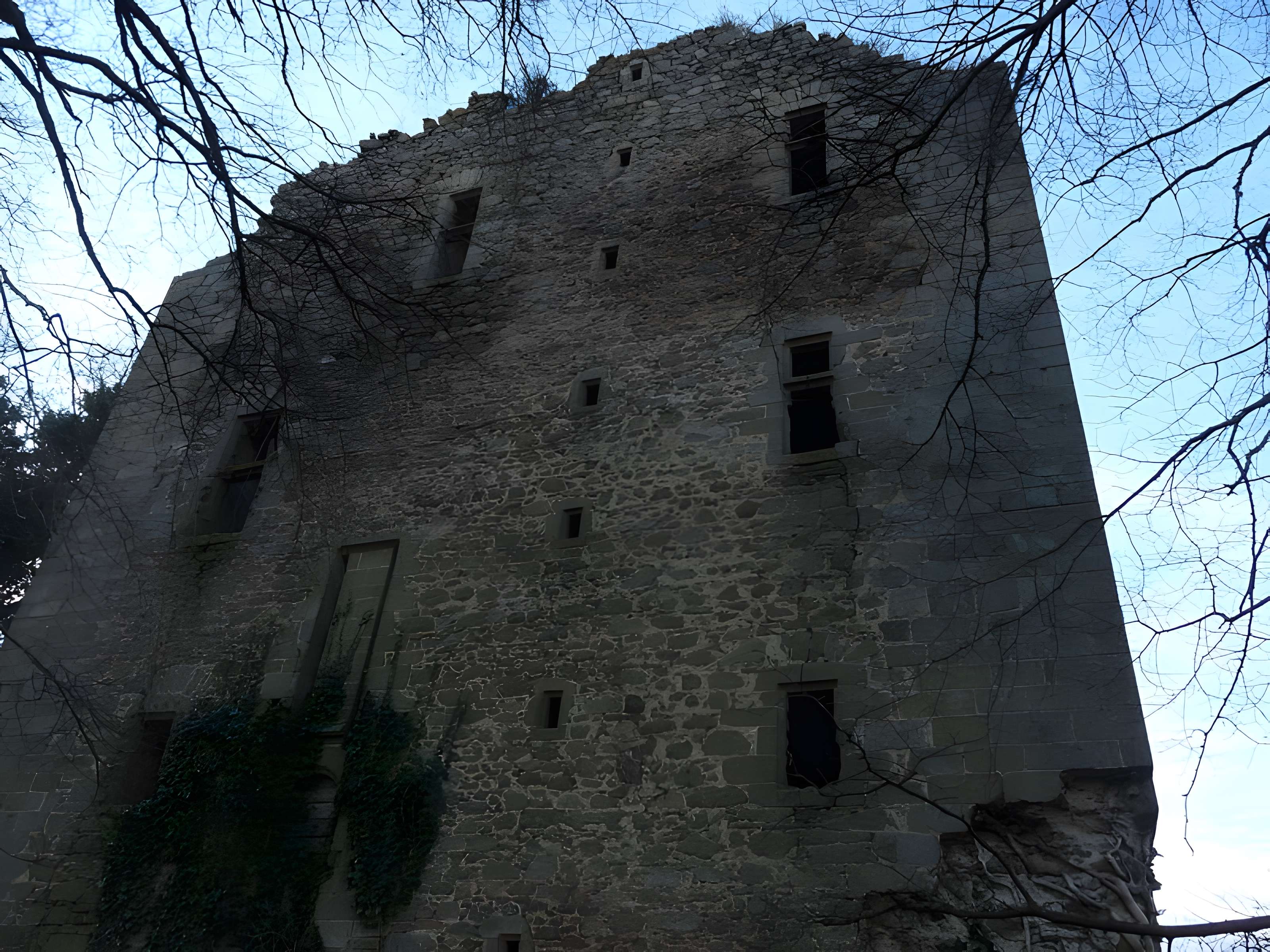 Donjon de Chamborand