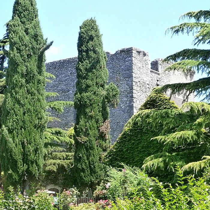 Photo de Donjon de Cigogné