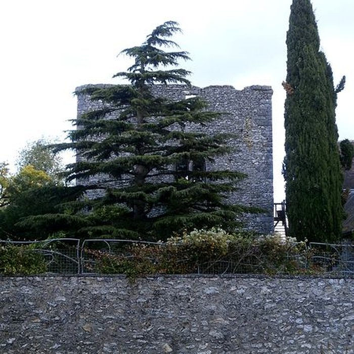 Photo de Donjon de Cigogné