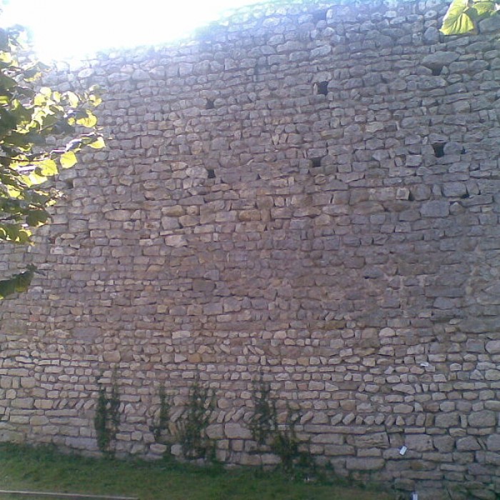 Photo de Donjon de La Marche