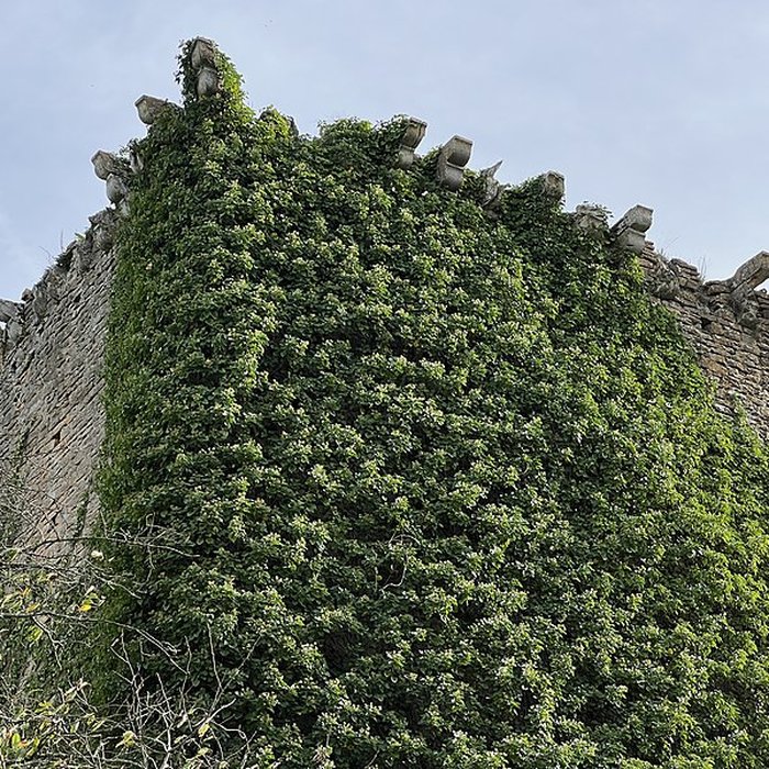 Photo de Donjon de La Salle