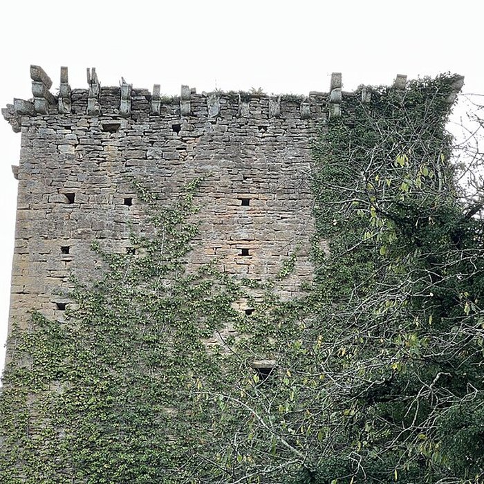 Photo de Donjon de La Salle