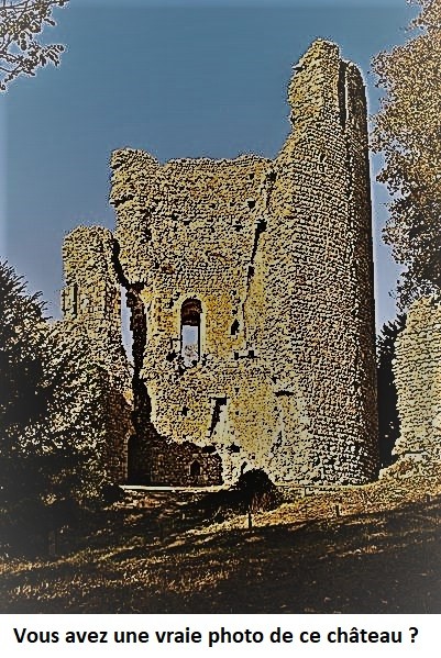 Photo de Donjon de Mallemort