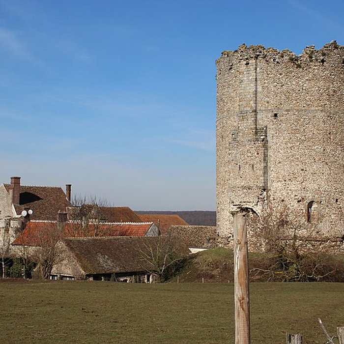 Photo de Donjon de Maurepas
