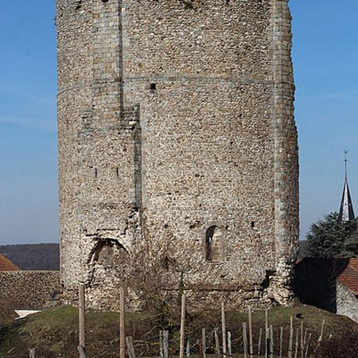 Photo de Donjon de Maurepas