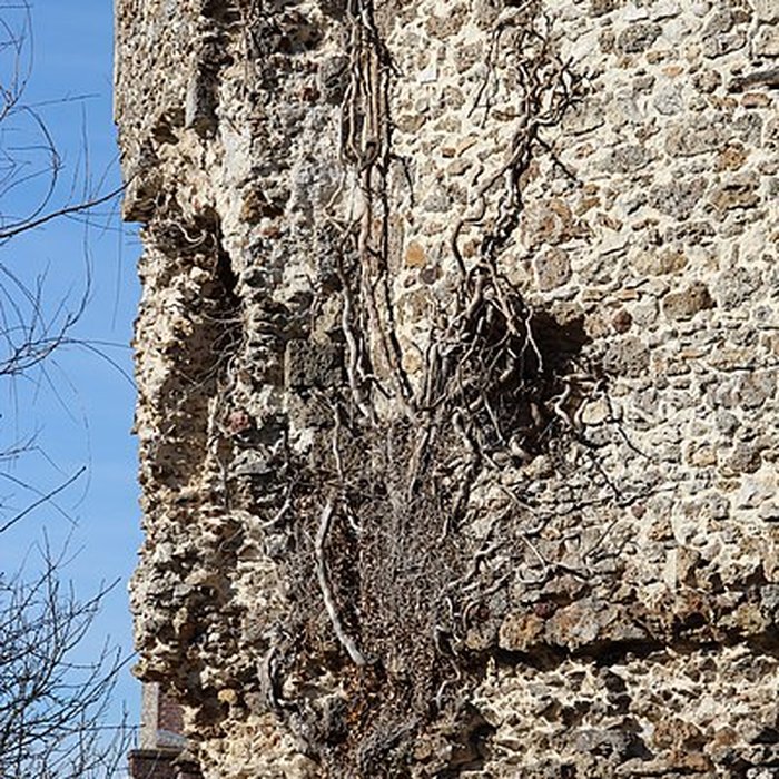 Photo de Donjon de Maurepas