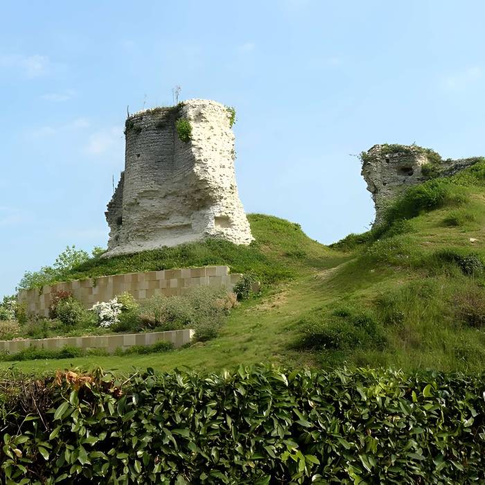 Photo de Donjon vestiges et sol des parcelles