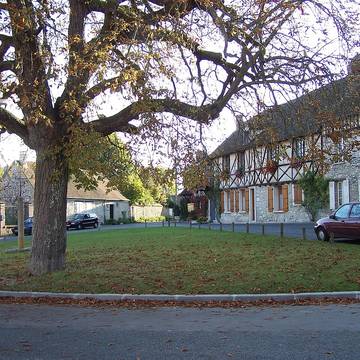 Donjon vestiges et sol des parcelles