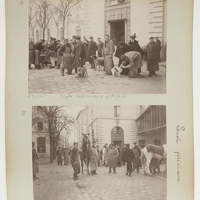 Photo de École nationale vétérinaire dAlfort