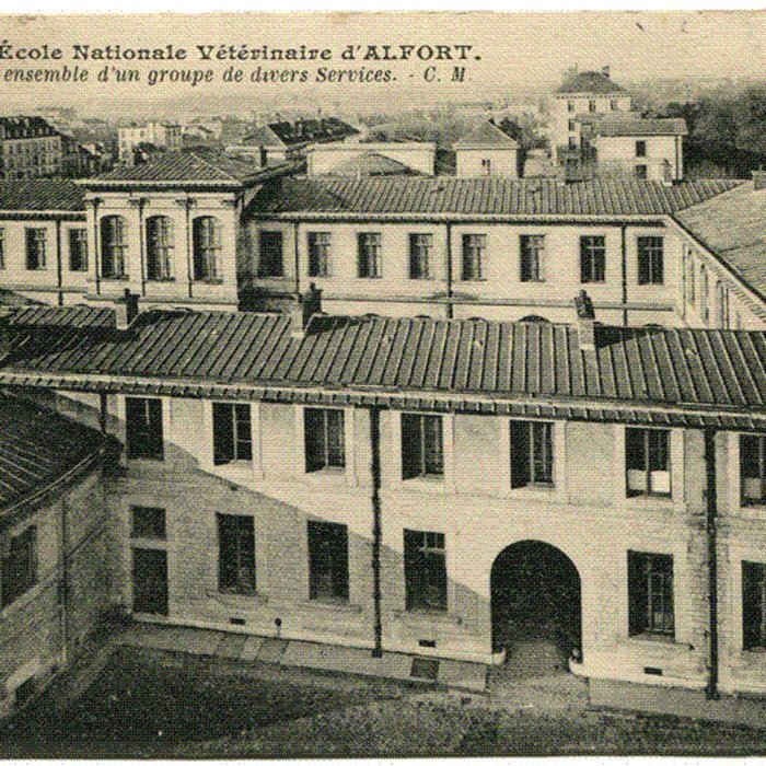 Photo de École nationale vétérinaire dAlfort