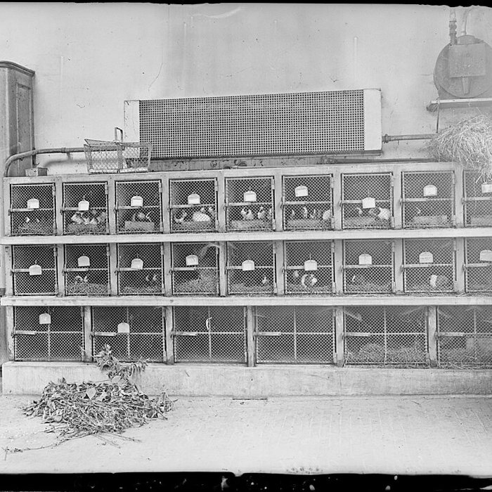 Photo de École nationale vétérinaire dAlfort