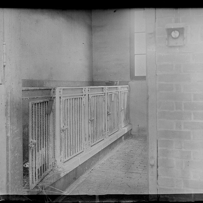 Photo de École nationale vétérinaire dAlfort