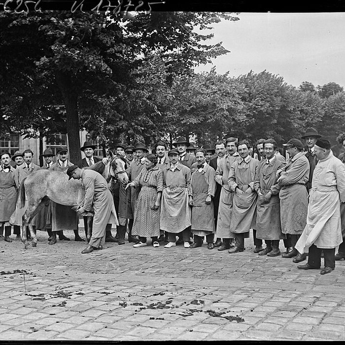 Photo de École nationale vétérinaire dAlfort