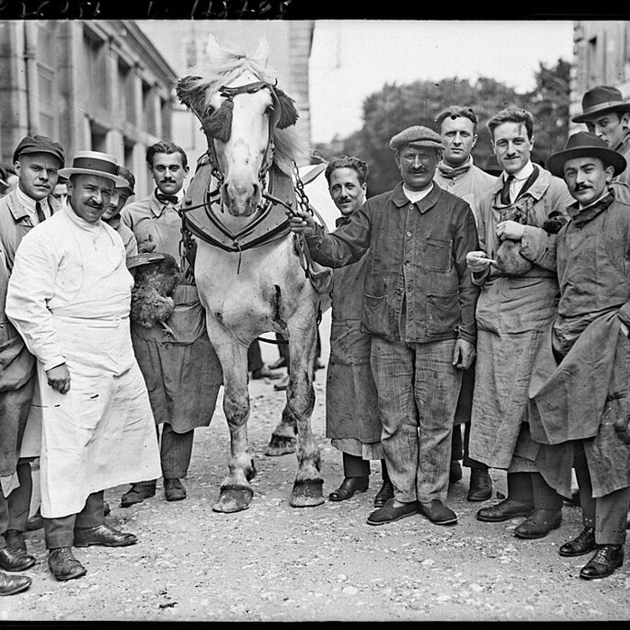 Photo de École nationale vétérinaire dAlfort