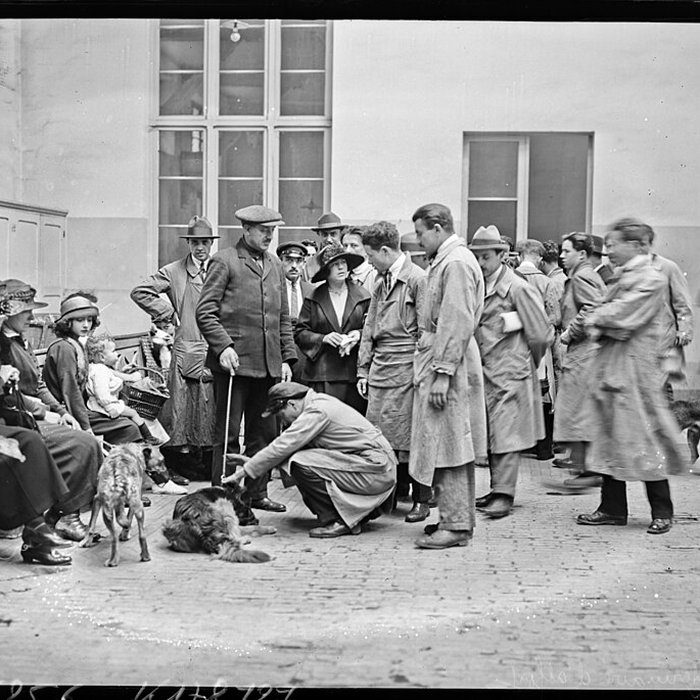 Photo de École nationale vétérinaire dAlfort