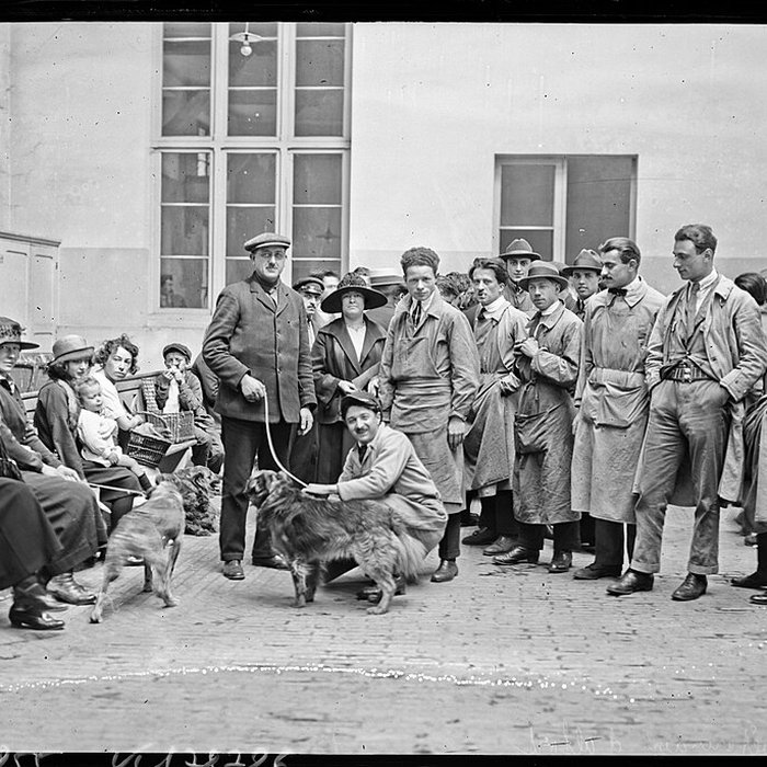 Photo de École nationale vétérinaire dAlfort