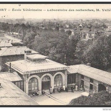 École nationale vétérinaire dAlfort