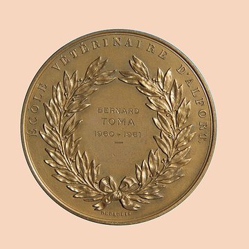 École nationale vétérinaire dAlfort