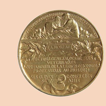 École nationale vétérinaire dAlfort