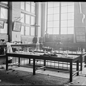 École nationale vétérinaire dAlfort