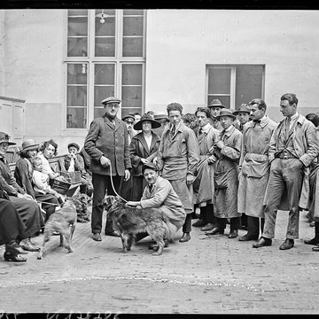 École nationale vétérinaire dAlfort