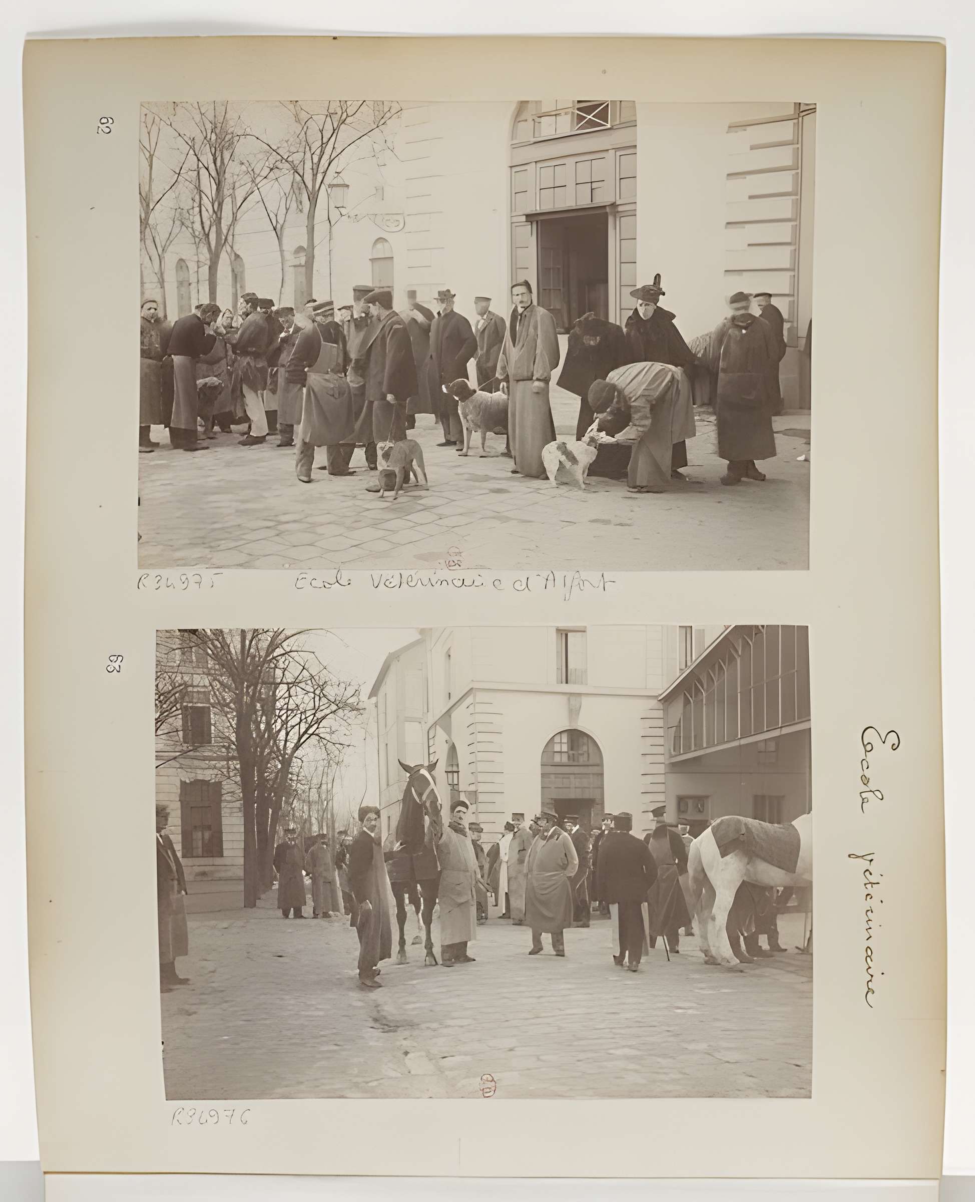 École nationale vétérinaire d'Alfort